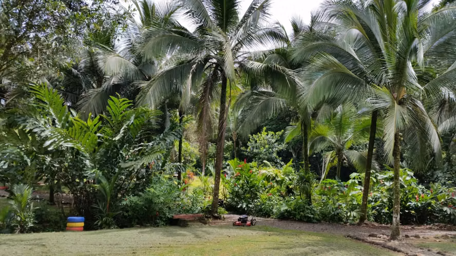 Finca en Venta. Huetares de Río Frío. Sarapiquí.