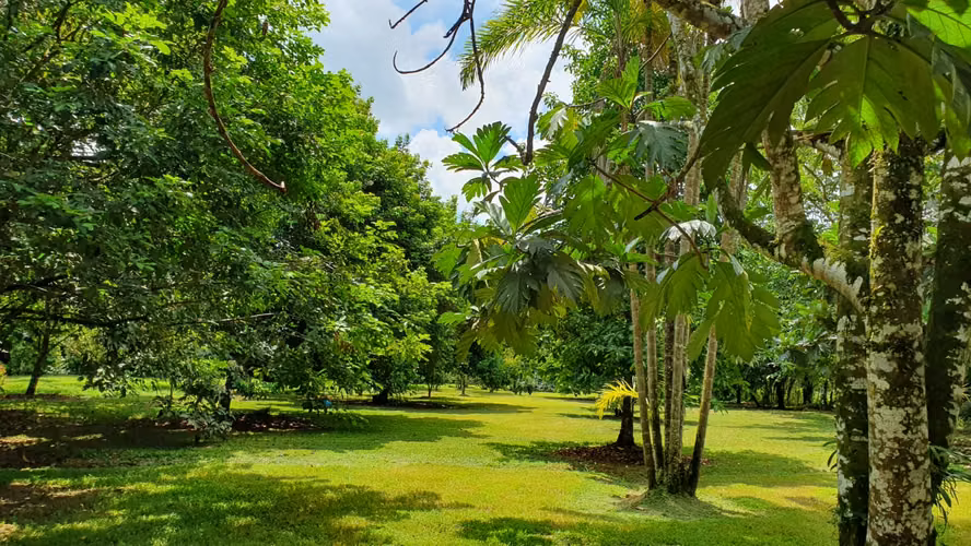Finca en Venta. Huetares de Río Frío. Sarapiquí.