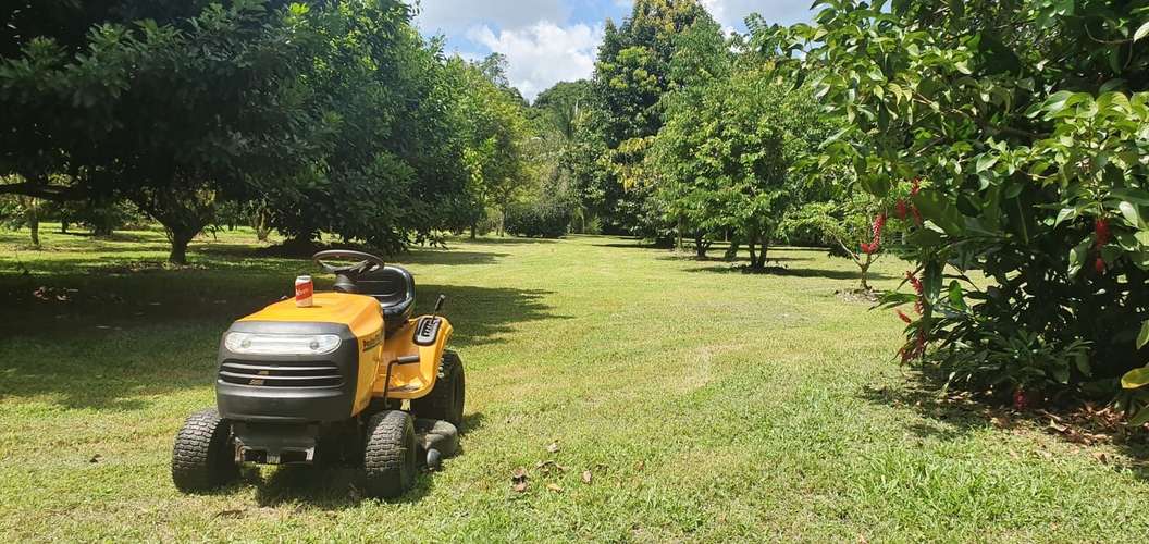 Finca en Venta. Huetares de Río Frío. Sarapiquí. - Imagen 7