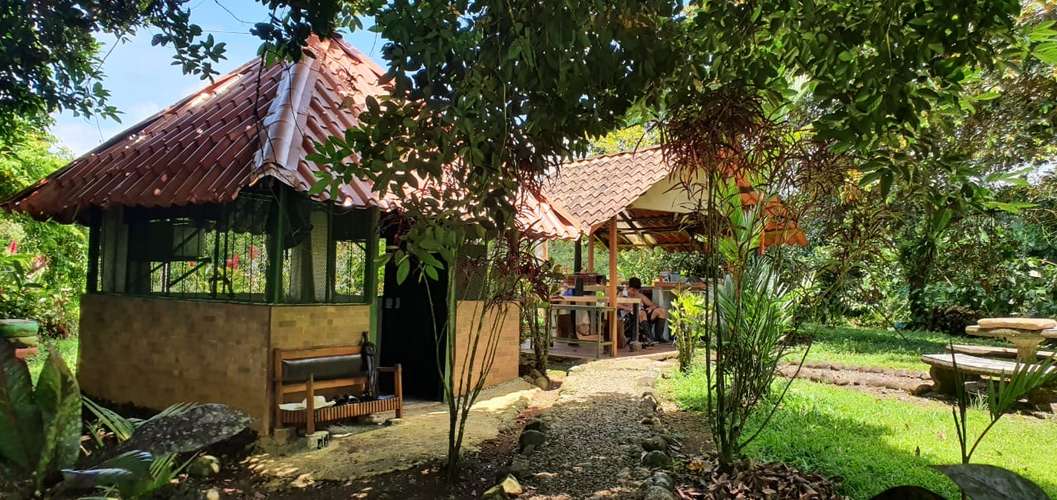 Finca en Venta. Huetares de Río Frío. Sarapiquí. - Imagen 8