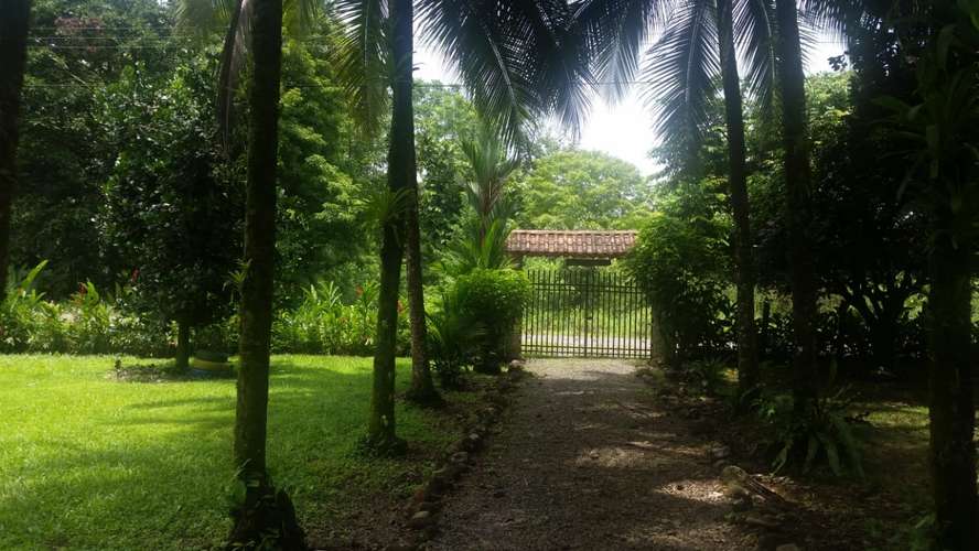 Finca en Venta. Huetares de Río Frío. Sarapiquí. - Imagen 6