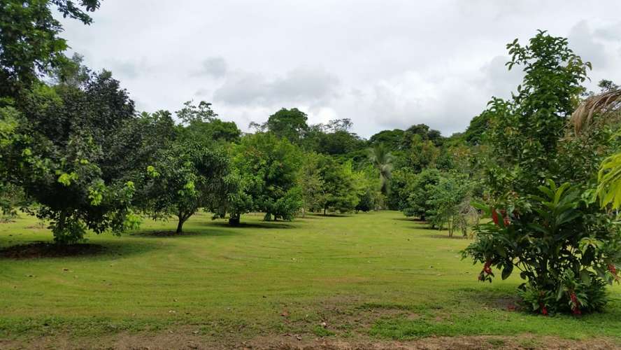 Excellent farm in perfect condition, well maintained and in production.