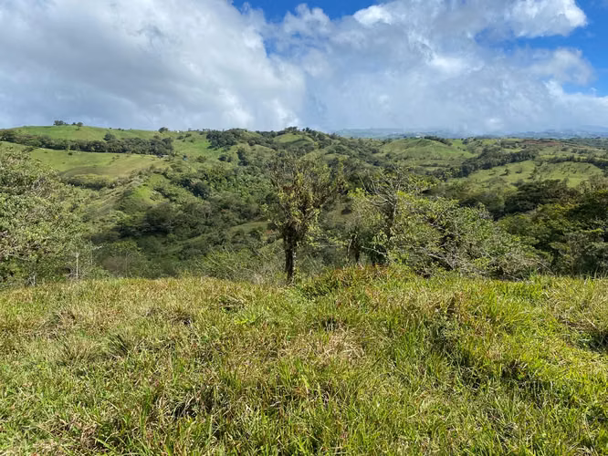 Venta de Finca de 11 Hectáreas en Ángeles de San Ramón, Alajuela - Imagen 12