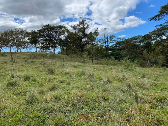 Venta de Finca de 11 Hectáreas en Ángeles de San Ramón, Alajuela - Imagen 3