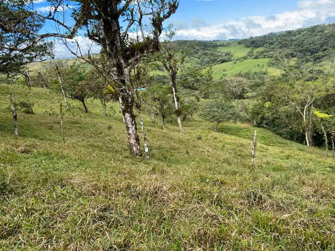 Venta de Finca de 11 Hectáreas en Ángeles de San Ramón, Alajuela - Imagen 2