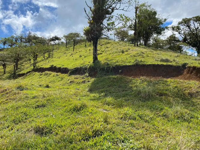 Venta de Finca de 11 Hectáreas en Ángeles de San Ramón, Alajuela - Imagen 7