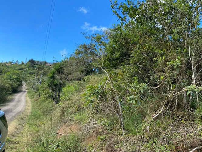Venta de Finca de 11 Hectáreas en Ángeles de San Ramón, Alajuela - Imagen 15