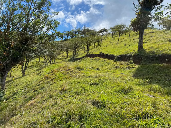 Venta de Finca de 11 Hectáreas en Ángeles de San Ramón, Alajuela - Imagen 6