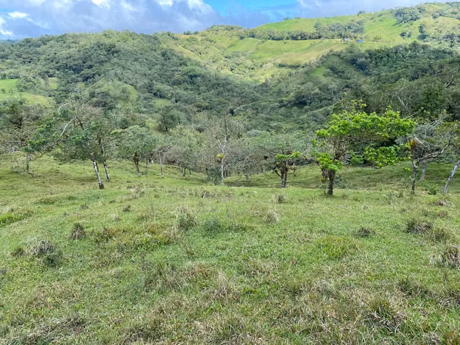 Venta de Finca de 11 Hectáreas en Ángeles de San Ramón, Alajuela
