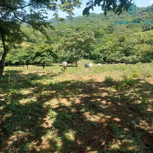 Venta de finca en La Cruz, Guanacaste 10 hectáreas ID 1879