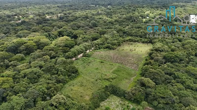 Terreno en venta en Avellanas cerca del mar, 6000m2 ID 1893 - Imagen 10