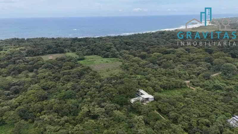 Terreno en venta en Avellanas cerca del mar, 6000m2 ID 1893 - Imagen 4