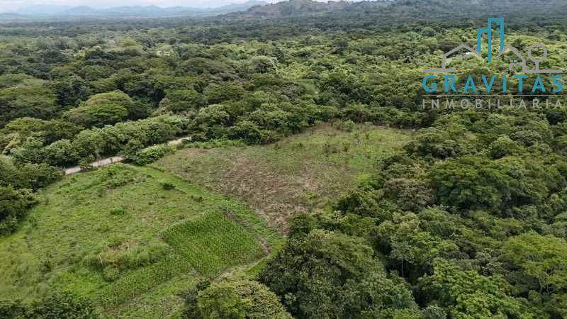 Terreno en venta en Avellanas cerca del mar, 6000m2 ID 1893 - Imagen 14