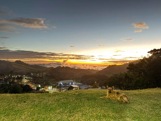 Farm for Sale in Zarcero Alajuela