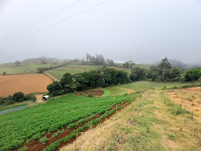 Finca Zarcero Alajuela