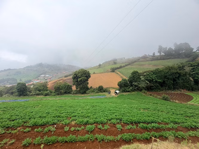 Finca Zarcero Alajuela