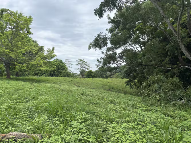 Farms for sale in Turrubaras