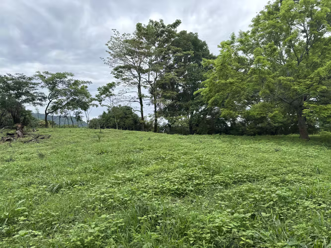 ¡Remate! Venta de 57 hectáreas en Turrubares, ¡Excelente propiedad en Oportunidad! - Imagen 12
