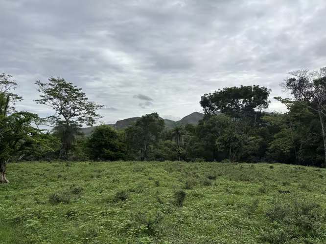 ¡Remate! Venta de 57 hectáreas en Turrubares, ¡Excelente propiedad en Oportunidad! - Imagen 15
