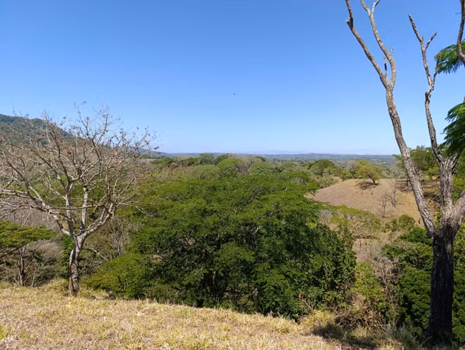 ¡Remate! Venta de 57 hectáreas en Turrubares, ¡Excelente propiedad en Oportunidad! - Imagen 13