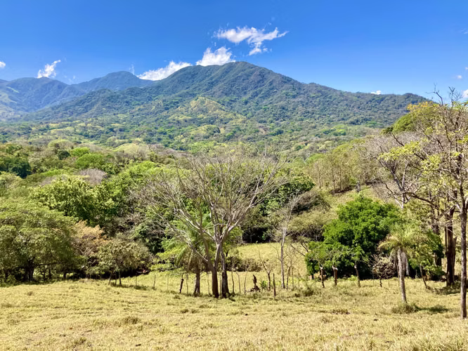 Farms for sale in Turrubaras