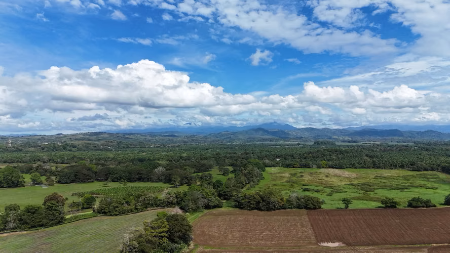 Lote con escritura cerca de Manuel Antonio – A 2 minutos de la playa, sin concesión - Imagen 8