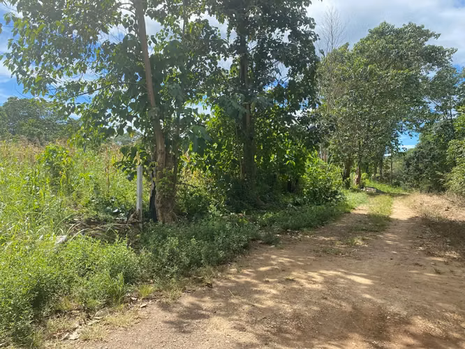 Terreno en Venta – Oportunidad de Inversión en Las Juntas Guanacaste - Imagen 4