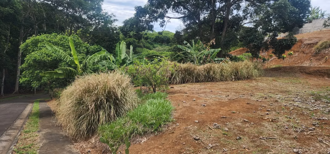 Lote esquinero en Condominio El Cedro en Naranjo - Imagen 3