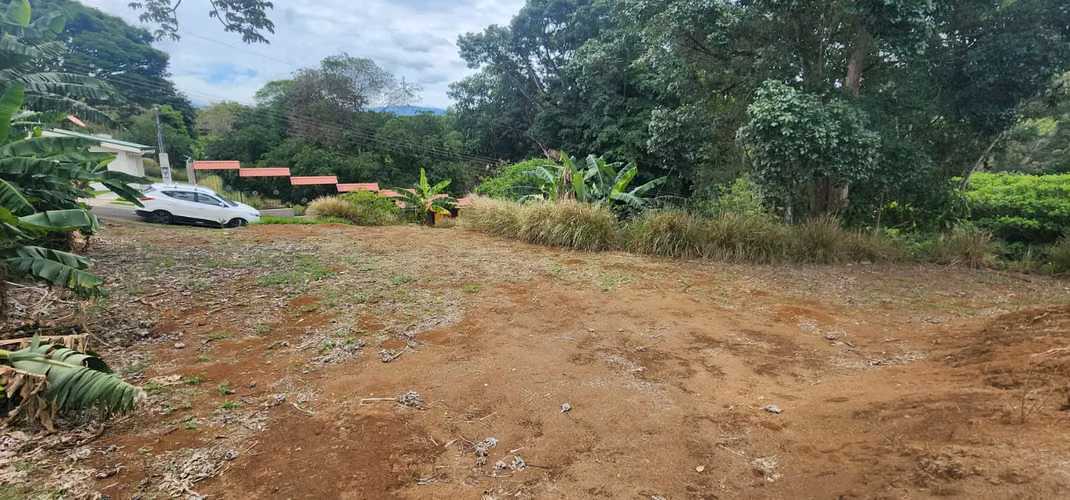 Lote esquinero en Condominio El Cedro en Naranjo - Imagen 6