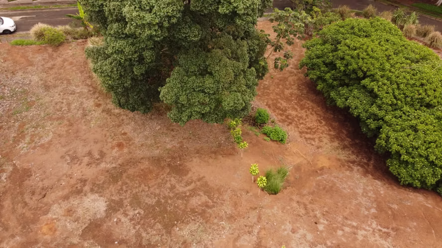 Lote esquinero en Condominio El Cedro en Naranjo - Imagen 13
