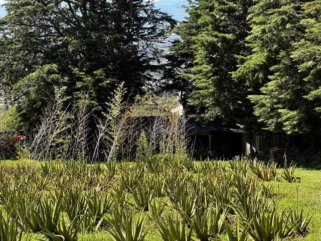 Venta de finca con vista panorámica en Heredia. - Imagen 9