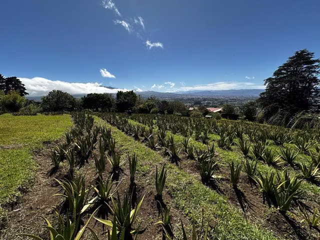 Venta de finca con vista panorámica en Heredia. - Imagen 10