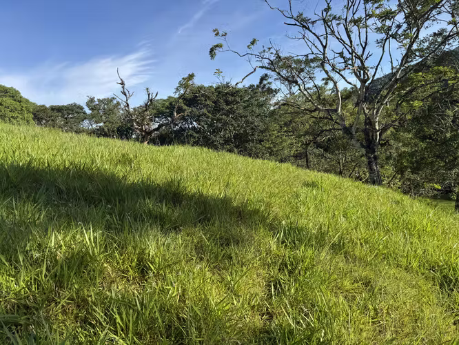 Finca Ganadera con Quebrada - Imagen 6