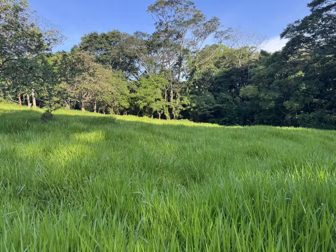 Finca Ganadera con Quebrada - Imagen 11