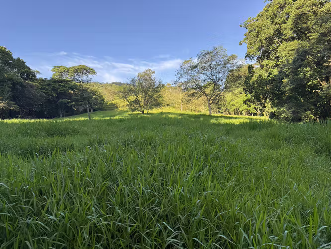Finca Ganadera con Quebrada - Imagen 14
