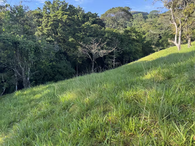 Finca Ganadera con Quebrada - Imagen 10