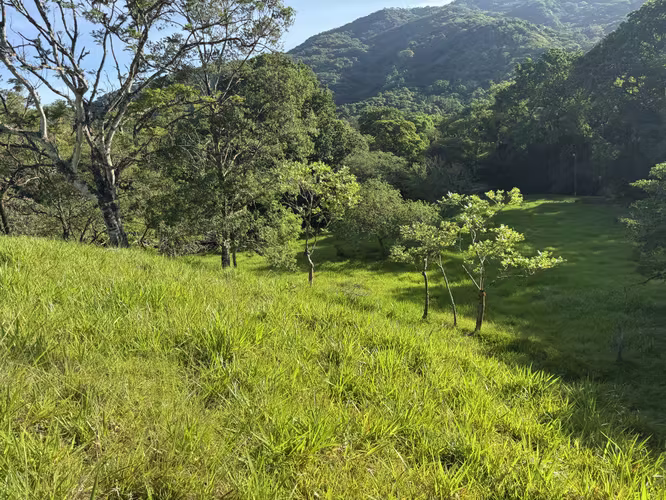 Finca Ganadera con Quebrada - Imagen 7