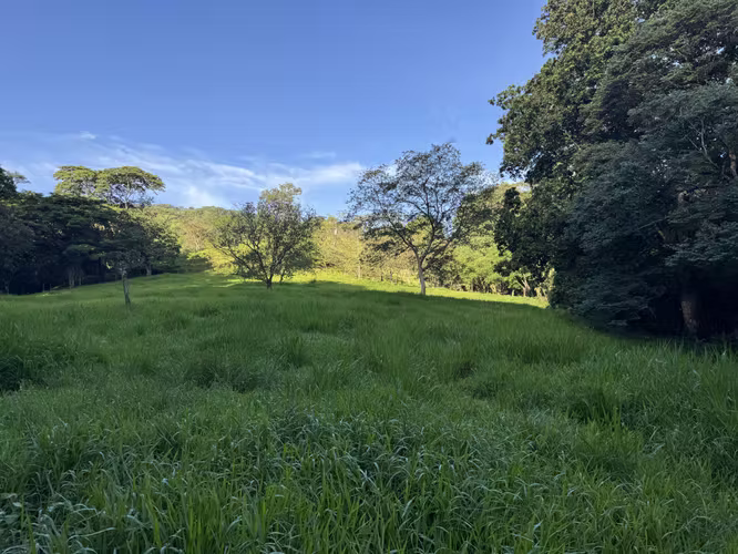 Finca Ganadera con Quebrada - Imagen 12