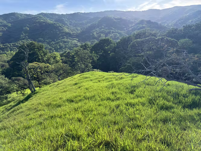 Finca Ganadera con Quebrada - Imagen 4