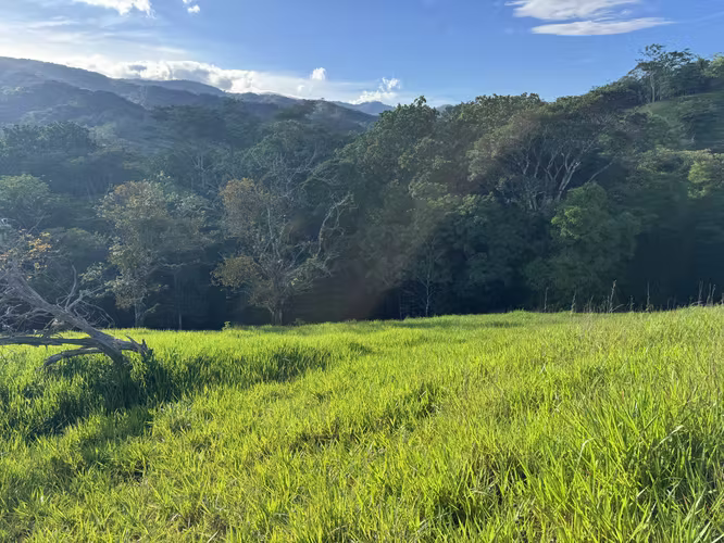 Finca Ganadera con Quebrada - Imagen 3