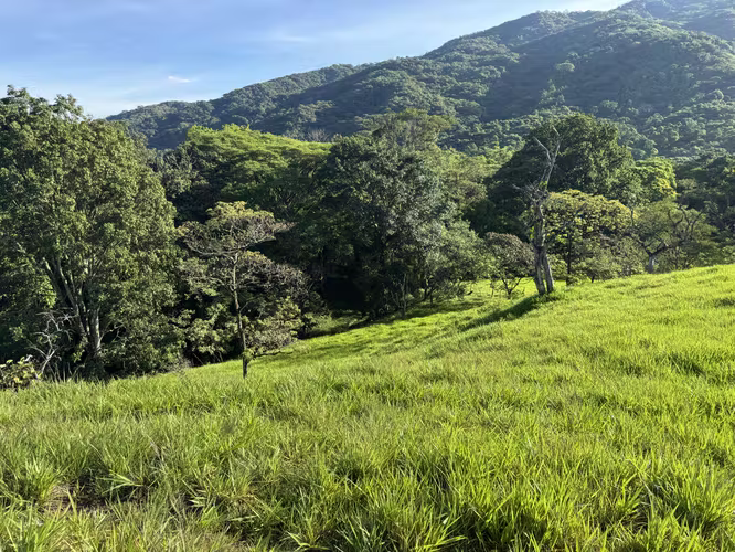 Finca Ganadera con Quebrada - Imagen 8
