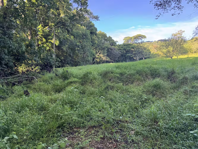Finca Ganadera con Quebrada - Imagen 16
