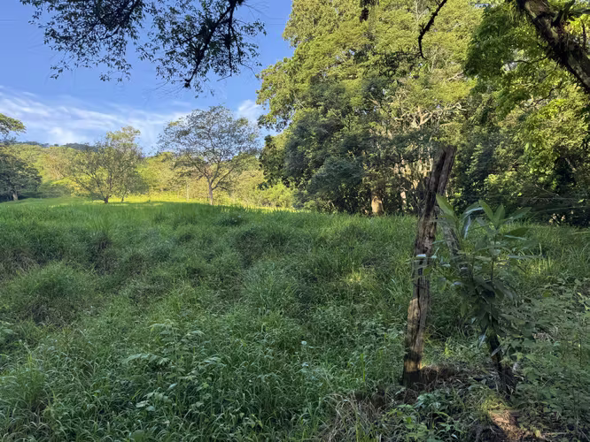 Finca Ganadera con Quebrada - Imagen 15
