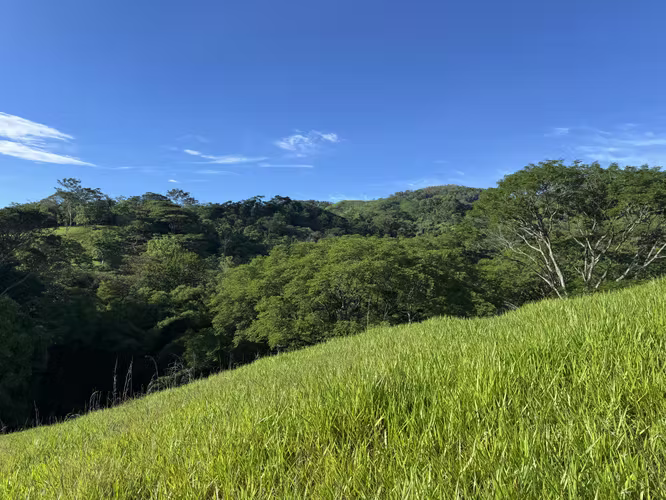 Finca Ganadera con Quebrada - Imagen 9