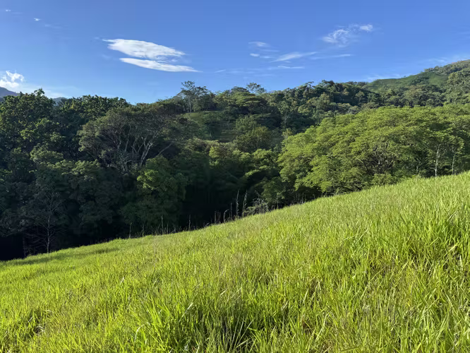 Finca Ganadera con Quebrada - Imagen 2