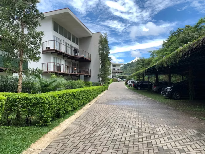 Venta Apartamento 1er piso, San Nicolas de Bari etapa 1 - Imagen 16