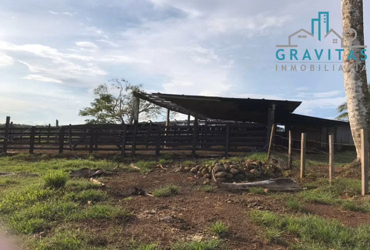 Venta Finca Ganadera de 741 hectáreas en la Cruz Guanacaste ID 1894