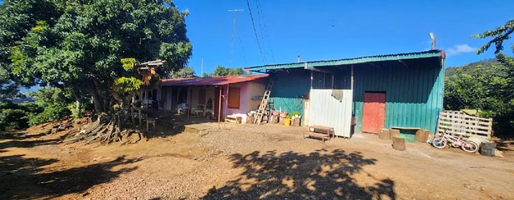 FINCA CAFETALERA EN VENTA - Imagen 2