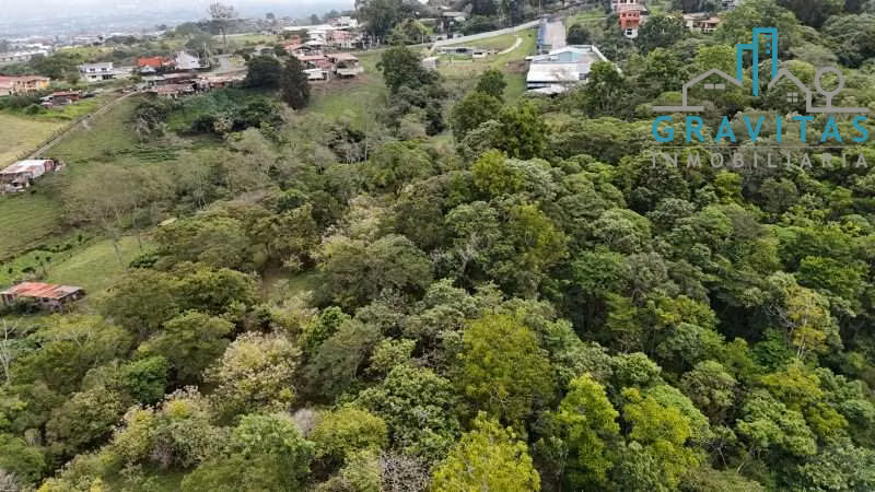 Venta de propiedad en San Rafael, Montes de Oca 4 Hectáreas ID 1989
