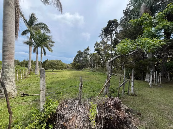 Venta de Lote en Residencial Aves del Paraiso- San Rafael-Heredia - Imagen 2